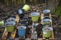 Abandoned plastic flower pots filled with potting soil on a weathered wooden pallet in a dark unused garden corner, clutter in the