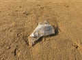 Abandoned plastic polythene bag on the beach. Royalty Free Stock Photo
