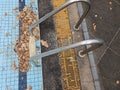 The abandoned pool is empty, old and rotten, with lots of leaves and dust.