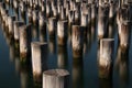 Abandoned posts from an old boat dock