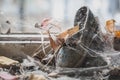 Abandoned preschool in Pripyat ghost town, Chernobyl Exclusion Zone. Nuclear, abandoned. Royalty Free Stock Photo