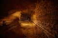 Abandoned prospecting adit. Tunnel at limestone at abandoned mine