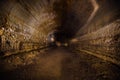 Abandoned prospecting adit. Tunnel at limestone at abandoned mine