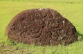 Abandoned Pukao or Moai Statue`s Topknot with the Petroglyph on Red Scoria Stone at Puna Pau Volcano, Easter Island, Chile