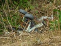 Abandoned quad bike lies upside down Royalty Free Stock Photo