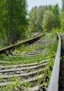 Abandoned railroad overgrown with grass and winding among trees