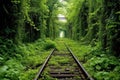 abandoned railroad tracks overgrown with greenery