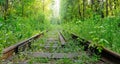 Abandoned railroad in the woods