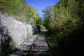 Abandoned Railway Bridge in the nature