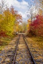 Abandoned railway between coloured trees