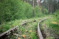 Abandoned railway with the grass and dandelions