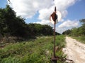 Abandoned railway near Valladolid, Mexico Royalty Free Stock Photo