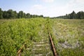 Abandoned railway with rusty rails. The grass has grown through the sleepers. Royalty Free Stock Photo