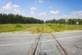 Abandoned railway with rusty rails. The grass has grown through the sleepers. Royalty Free Stock Photo