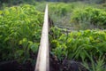 Abandoned railway from the Soviet Union era in Vasilkov