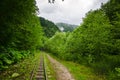 Abandoned railway in summer mountain forest with foliar trees in Gaucasus, Mezmay