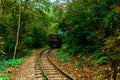 Abandoned railway track in the autumn forest. thickets of the jungle Royalty Free Stock Photo