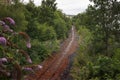 An abandoned railway track in Scotland under the rain Royalty Free Stock Photo