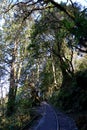 Abandoned railway tracks Jianqing Huaigu Trai at Taipingshan National Forest Recreation Area in Yilan, Royalty Free Stock Photo