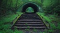 Abandoned railway tunnel steps, overgrown with lush greenery Royalty Free Stock Photo