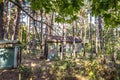 Abandoned recreation base in Chernobyl zone Royalty Free Stock Photo