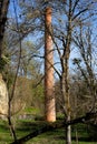 Abandoned red brick industrial chimney in forest Royalty Free Stock Photo