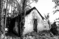 Abandoned residence in the jungle, Black and White Royalty Free Stock Photo