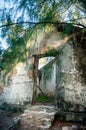 Abandoned residence in the jungle Royalty Free Stock Photo