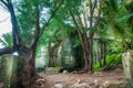 Abandoned residence in the jungle Royalty Free Stock Photo