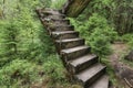 Abandoned rest of the concrete staircase in the woods