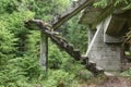 Abandoned rest of the concrete staircase in the woods