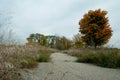 Abandoned Road