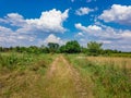 An abandoned road runs through a field of green grass.