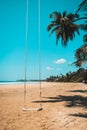 Abandoned rope swing during social isolation on a sunny day at the beach. Bright blue sky in the background. Empty swing and