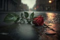 Abandoned rose is lying on the ground. Quarrel, divorce, broken heart, separation, tragedy.