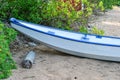 Abandoned rowboat on the beautiful beach