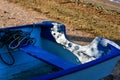 Abandoned rowboat on the beautiful beach Royalty Free Stock Photo