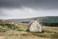 Abandoned ruined old Scottish cottage in Highlands Scotland
