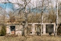 Abandoned Ruined Old Village House In Chernobyl Resettlement Zone. Belarus. Chornobyl Catastrophe Disasters. Dilapidated