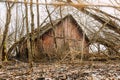 Abandoned Ruined Old Wooden Village Barn In Chernobyl Resettlement Zone. Belarus. Chornobyl Catastrophe Disasters