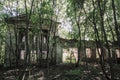 Abandoned ruined overgrown church in the wood, Drezgalovo, Lipetsk region