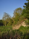 An Abandoned and ruined Scottish Farm building or Cottage lies in a field near Guthrie in Angus.