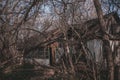 Abandoned rural house in the exclusion zone, Pripyat region, Chernobyl disaster, Ukraine