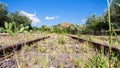 Abandoned rural railway in Sicily