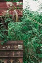 An abandoned rusted train carriage blends into the greenery environment