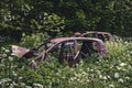 Abandoned Rusty car