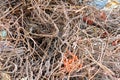 Abandoned rusty construction bars stacked,concept of garbage in buildings,Steel structure of cement That were singled out for Royalty Free Stock Photo