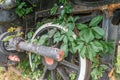 Abandoned rusty museum railway steam locomotive wheel covered with green vegetation Royalty Free Stock Photo