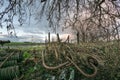 Abandoned rusty old farm machinery below a tree in the dutch countryside Royalty Free Stock Photo