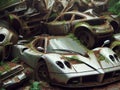 Abandoned rusty petrol super car banned for co2 emission agenda, overgrowth plants bloom flowers